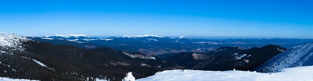 Foto bela encosta coberta de neve com pinheiros cobertos de neve contra o céu azul