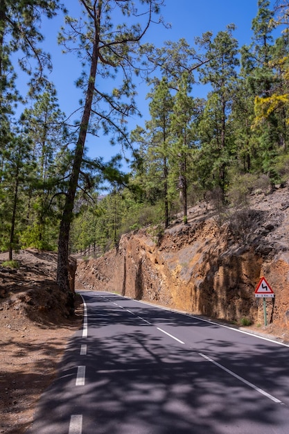 Bela estrada florestal a caminho do Parque Natural do Teide, nas Ilhas Canárias de Tenerife