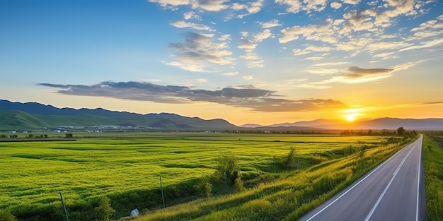 Bela estrada rural e campos verdes ao amanhecer