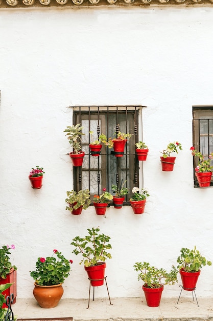 Bela fachada branca de uma típica casa andaluza na Espanha com plantas em vasos de barro vermelho