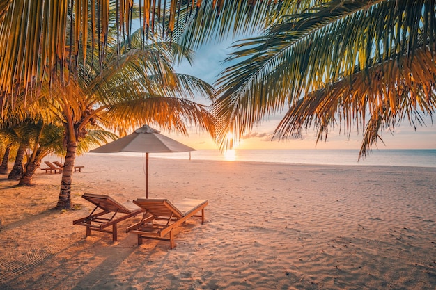 Bela faixa de praia do pôr do sol Palmas de coco de areia branca viagens turismo amplo conceito de plano de fundo