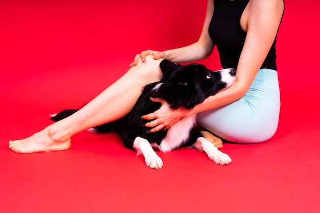 Bela fêmea com border collie em estúdio com fundo amarelo e vermelho