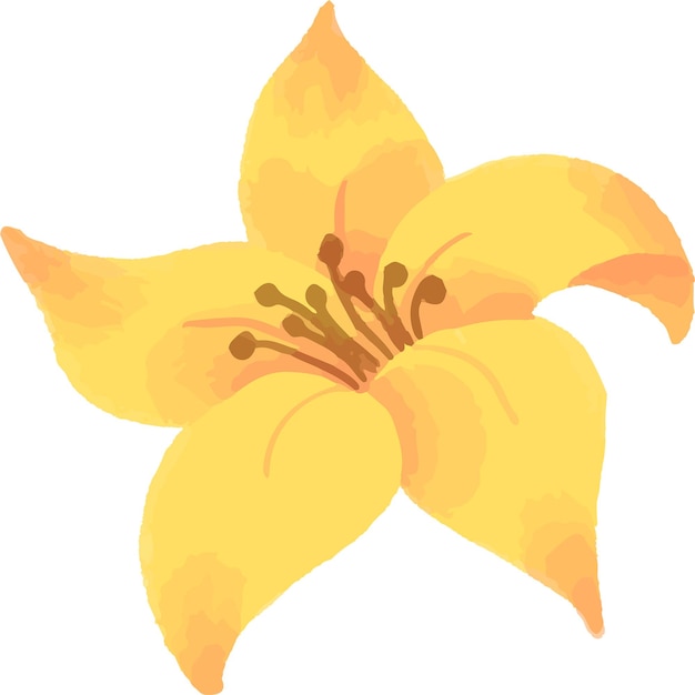 bela flor amarela