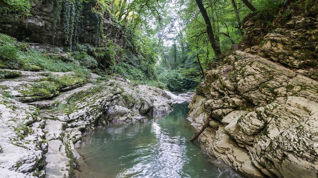 Bela floresta e rio de montanha no desfiladeiro Psakho, Krasnodar Krai, Rússia.