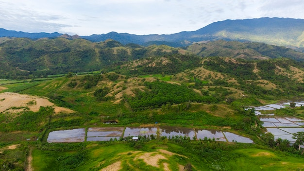 Bela floresta tropical em Aceh