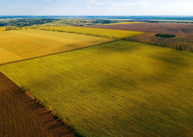 Bela foto aérea feita com drone de incríveis campos de agricultura durante o verão.