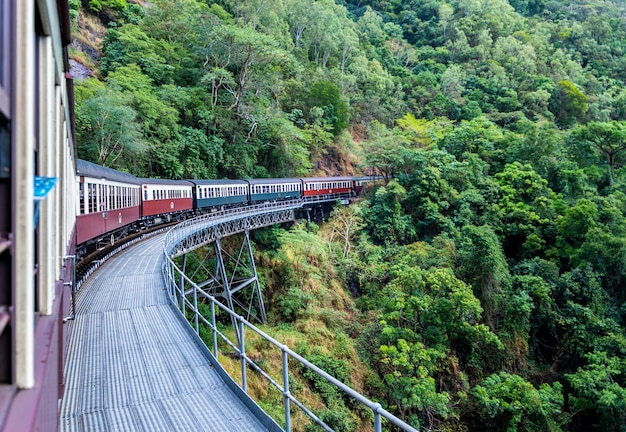 Bela foto da ferrovia cênica de Kuranda cercada por florestas de árvores verdes na Austrália