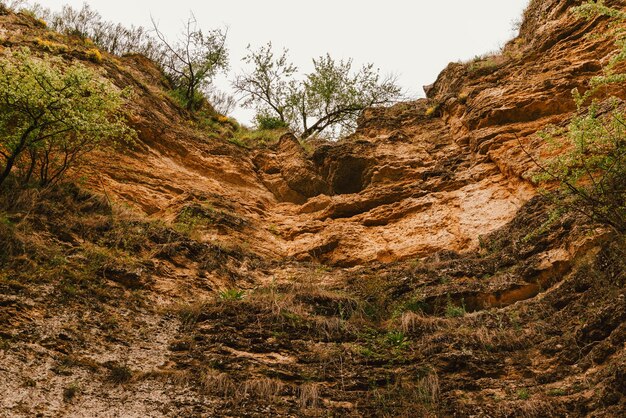 Bela foto de algumas camadas naturais de solo e rocha cobertas de grama e raízes