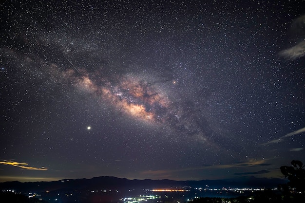 Bela foto de baixo ângulo de uma floresta sob um céu azul estrelado