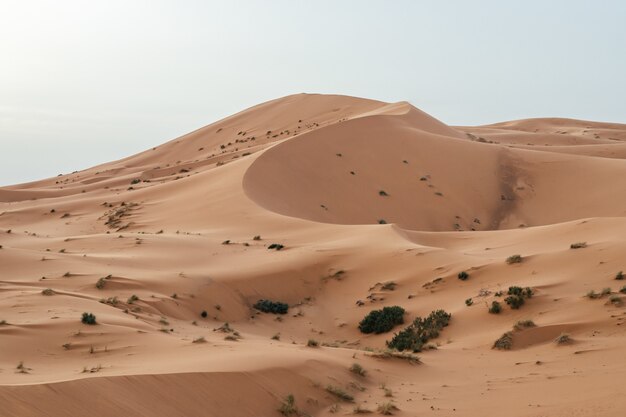 Bela foto de dunas de areia sob céu claro