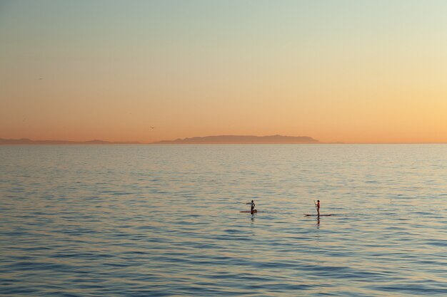 Bela foto de surfistas de remo surfando na água ao pôr do sol