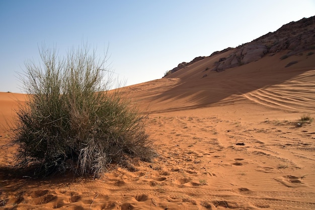 Bela foto do deserto de rocha rosa sob um céu claro nos Emirados Árabes Unidos