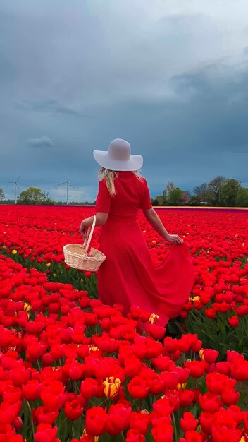 Bela garota loira em vestido vermelho e chapéu de palha branco com cesta de vime em campos de tulipas coloridos