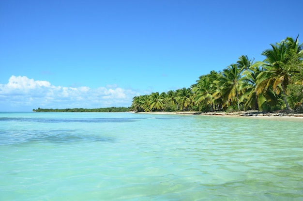 Bela ilha desabitada em Dominicana.