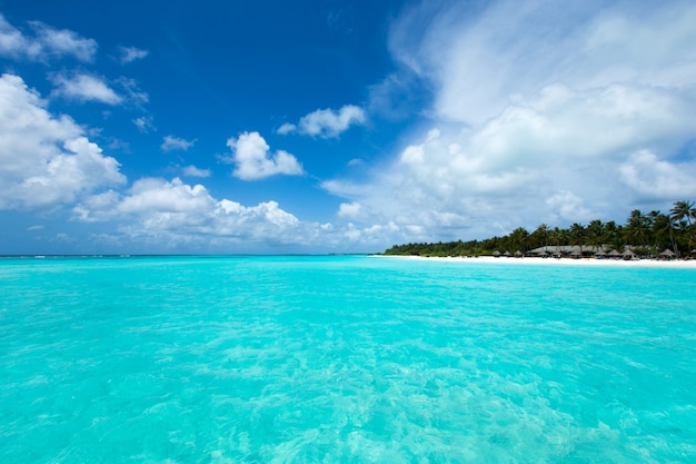Foto bela ilha tropical das maldivas com praia, mar e céu azul para férias na natureza