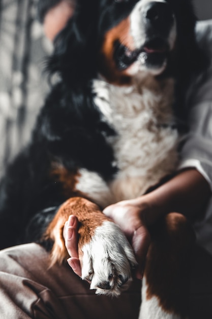 Foto bela jovem abraçando seu cachorro de estimação em casa