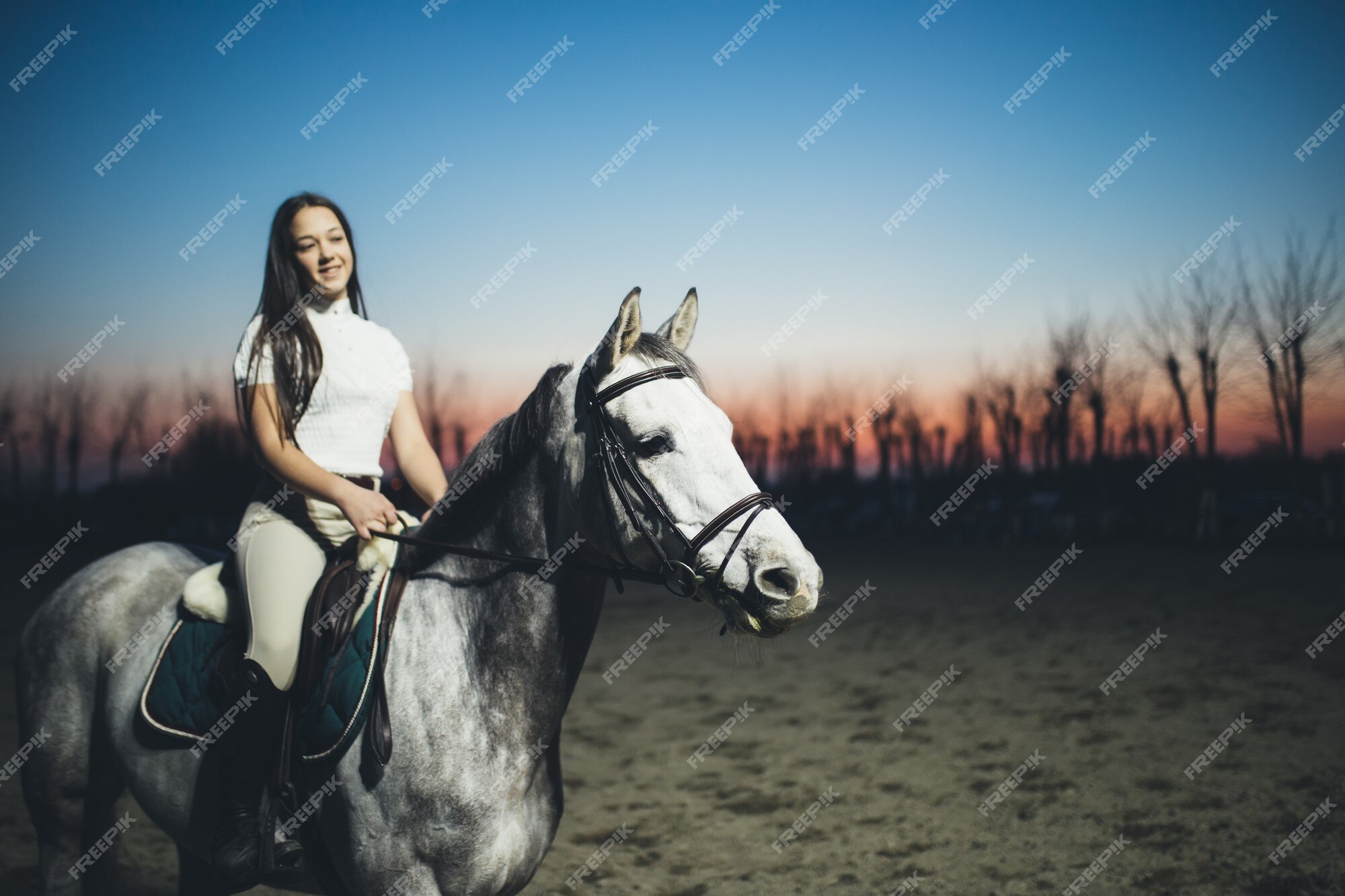 Cavalo cavalgando na bahia imagem editorial. Imagem de freio - 204124325