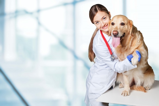 Bela jovem veterinária com um cachorro em um fundo branco