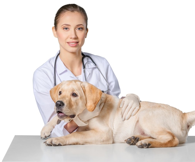 Bela jovem veterinária com um cachorro em um fundo branco