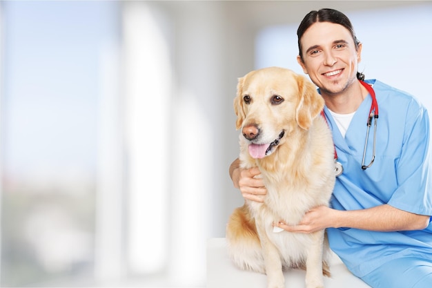 Bela jovem veterinária com um cachorro