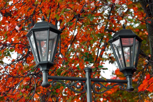 Bela lâmpada de rua no parque no outono. foto de alta qualidade