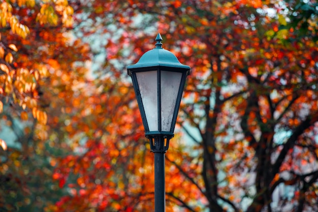 Bela lâmpada de rua no parque no outono. Foto de alta qualidade