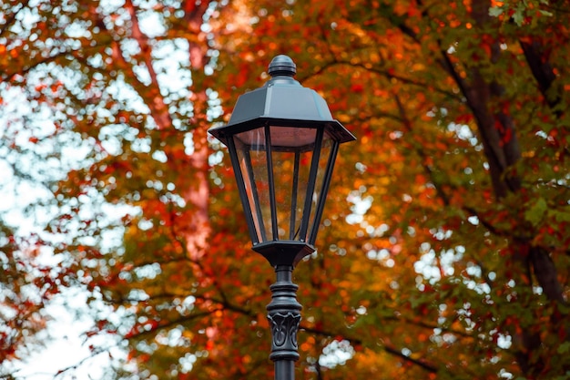 Bela lâmpada de rua no parque no outono. Foto de alta qualidade