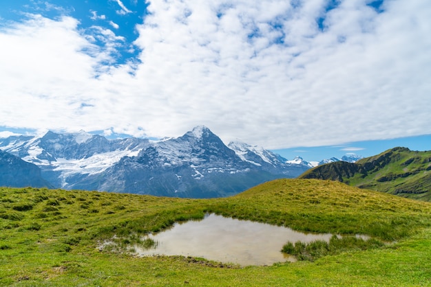 Bela montanha alpes em grindelwald, suíça