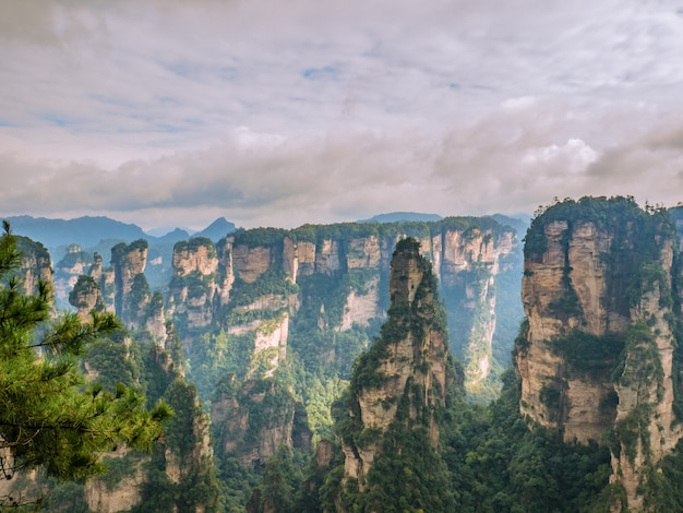 Foto bela montanha da montanha yuanjiajie ou avartar em zhangjiajie national forest park