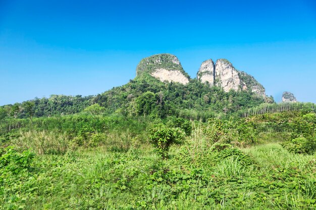 Bela montanha e prado no céu azul