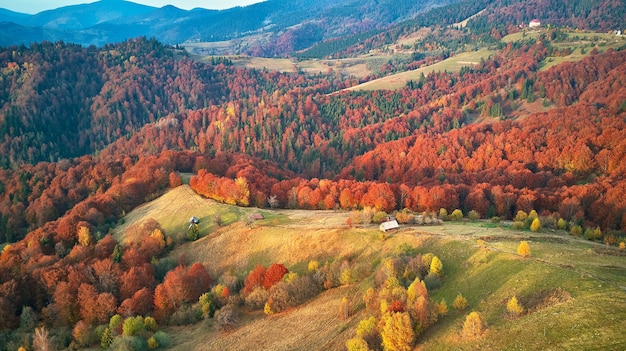 Bela montanha outono panorama paisagem com prados e floresta colorida. Árvores vermelhas, amarelas, laranjeiras nas encostas. Parque Natural Nacional Synevyr, Cárpatos, Ucrânia, Europa.