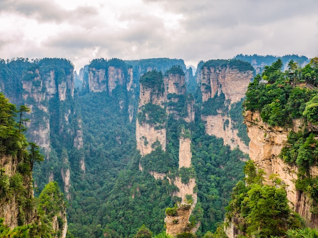 Bela montanha yalley de yuanjiajie ou montanha avartar no parque florestal nacional de zhangjiajie