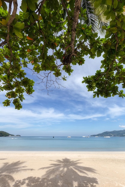 Bela natureza do mar de Andaman e da praia de areia branca em Patong Beach Phuket Island Tailândia
