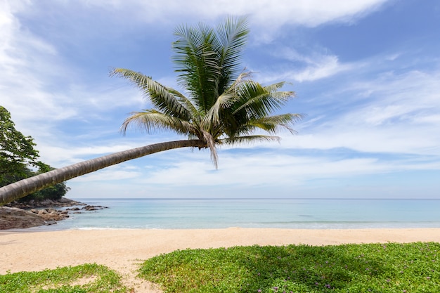 Bela natureza do mar de andaman e praia de areia branca pela manhã na praia de patong, ilha de phuket, tailândia.