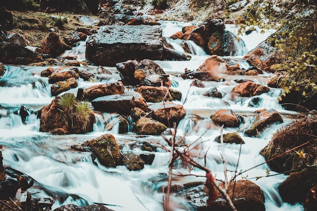 Bela natureza e floresta do parque nacional rara em mugu, nepal