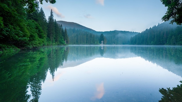 Bela natureza e uma paisagem maravilhosa com exuberantes florestas verdes e vegetação ao redor da pérola dos Cárpatos Lago Synevyr Cárpatos na Ucrânia Nevoeiro místico sobre os grandes abetos