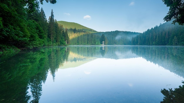 Bela natureza e uma paisagem maravilhosa com exuberantes florestas verdes e vegetação ao redor da pérola dos cárpatos lago synevyr cárpatos na ucrânia nevoeiro místico sobre os grandes abetos