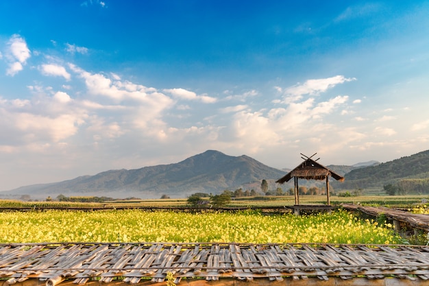 Bela natureza paisagem com montanha