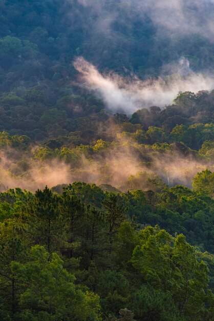 Bela natureza paisagem por do sol