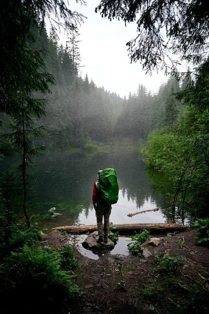 Bela natureza ucraniana Turista em pé lago da floresta hean cercado de pinheiros Montanhas dos Cárpatos Rosohan Ucrânia