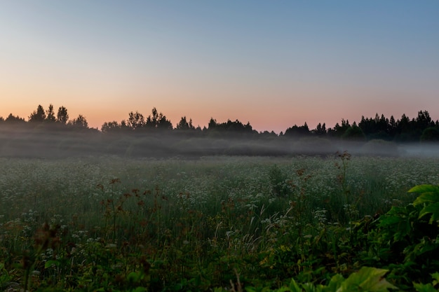 bela noite de nevoeiro na região rural de pskov, Rússia