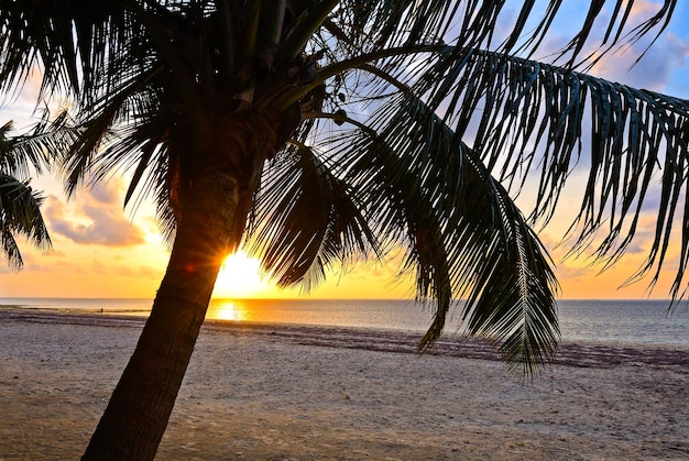 Bela noite na costa africana de Diani no Quênia