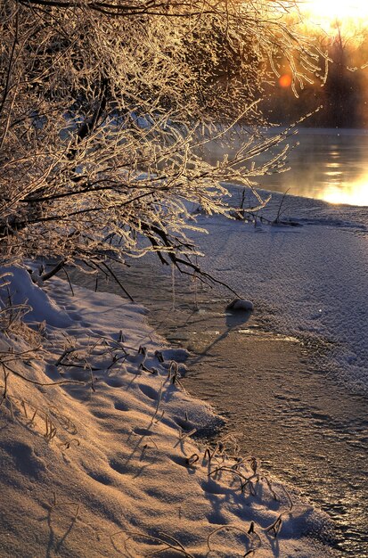 Bela noite paisagem de um rio descongelado com árvores nevadas ao redor em uma noite ensolarada. o conceito de beleza da natureza e da primavera