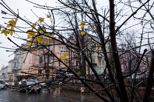 bela ostreet na cidade velha de chernivtsi no ukrana