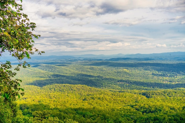 Bela paisagem com árvores, montanha e céu