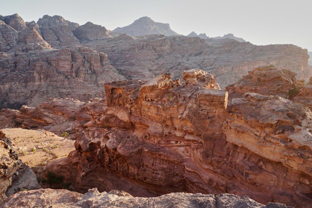 Bela paisagem com gengibre balança plantas e árvores verdes da primavera em Petra Jordan Oriente Médio Designação como Patrimônio Mundial da UNESCO Planeta vermelho paisagem de Marte