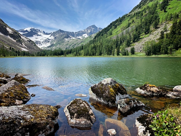 Bela paisagem com montanhas e lago na manhã de verão, Altai