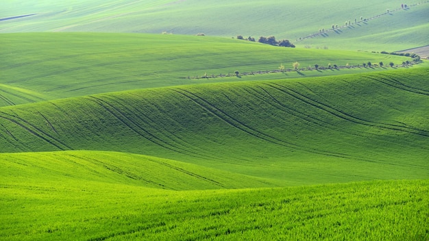 Bela paisagem com natureza de primavera Ondas no campo Morávia do Sul Morávia Toscana República Tcheca Europa