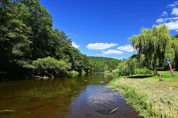 Bela paisagem com natureza de verão Jihlava River Valley South Moravia República Checa