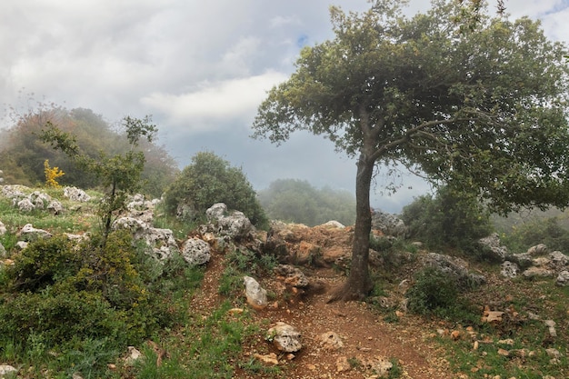 Bela paisagem com nevoeiro e uma estrada afastando-se no Monte Meron